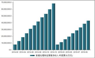 2014-2015年我國(guó)數(shù)據(jù)處理與運(yùn)營(yíng)服務(wù)收入深度解析 數(shù)據(jù)處理服務(wù)篇
